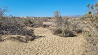 2023-GC--Mapalomas dunas-S123-153.jpg